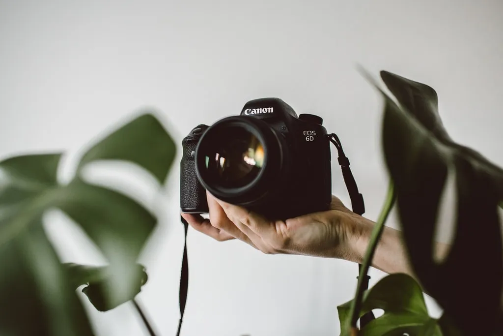 fotografia produktów